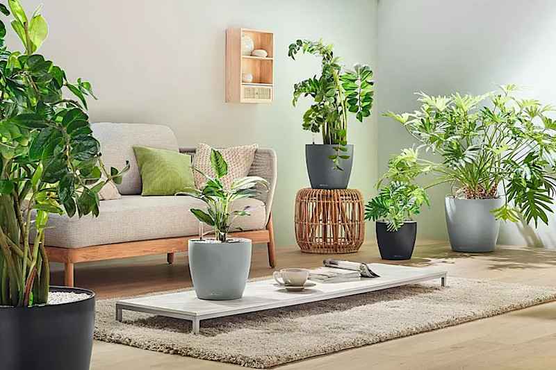 CLASSICO Color ECO Αυτοποτιζόμενη Πλαστική Γλάστρα Lechuza